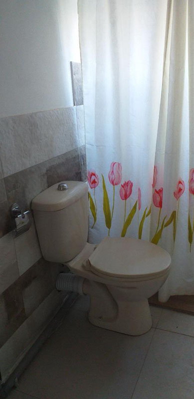 studio toilette et fleurs